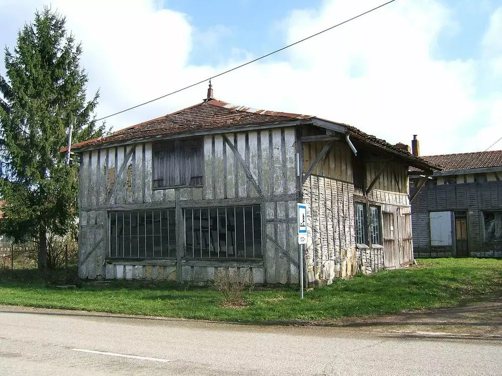 Slide image