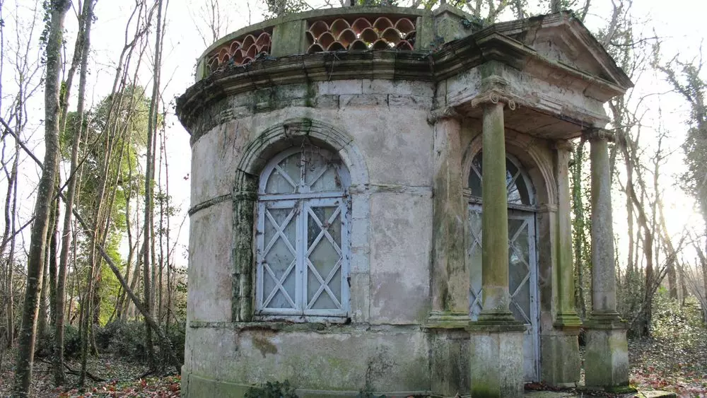 Slide image