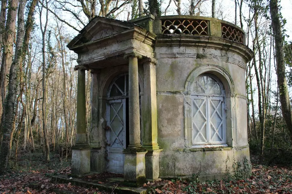 Slide image