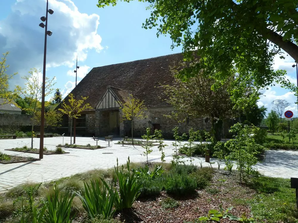 Slide image