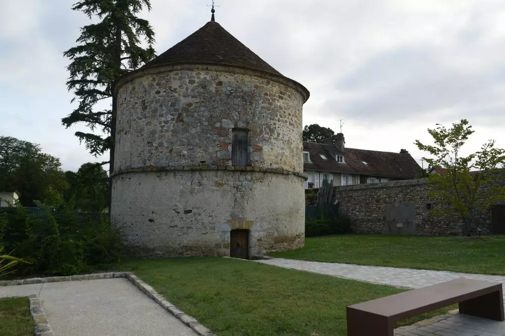 Slide image