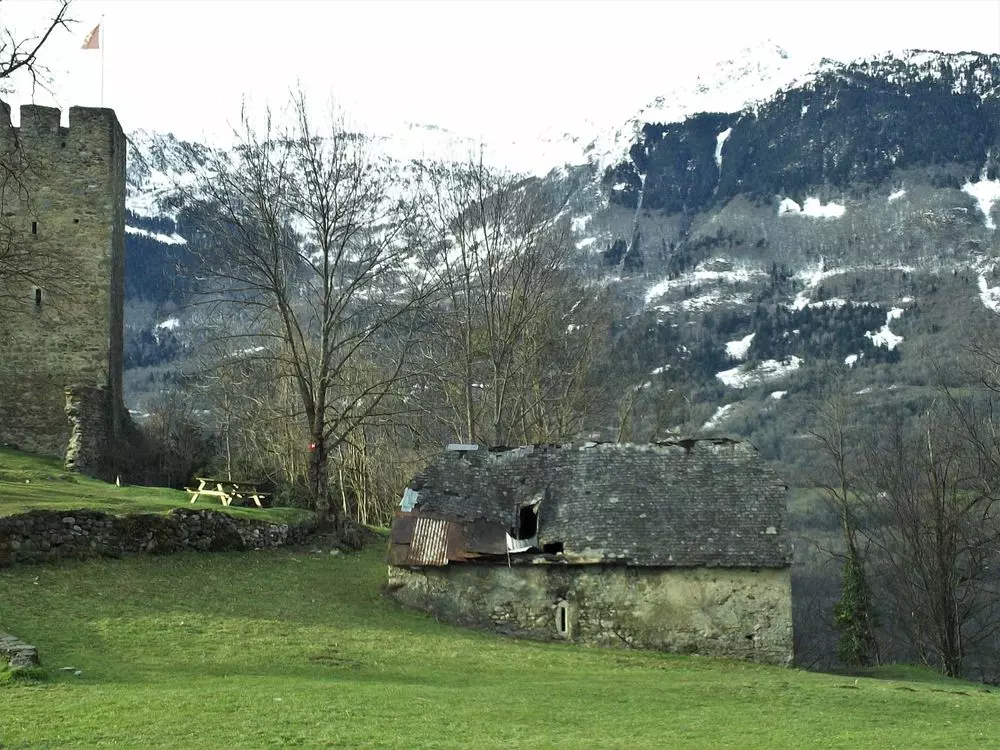Slide image