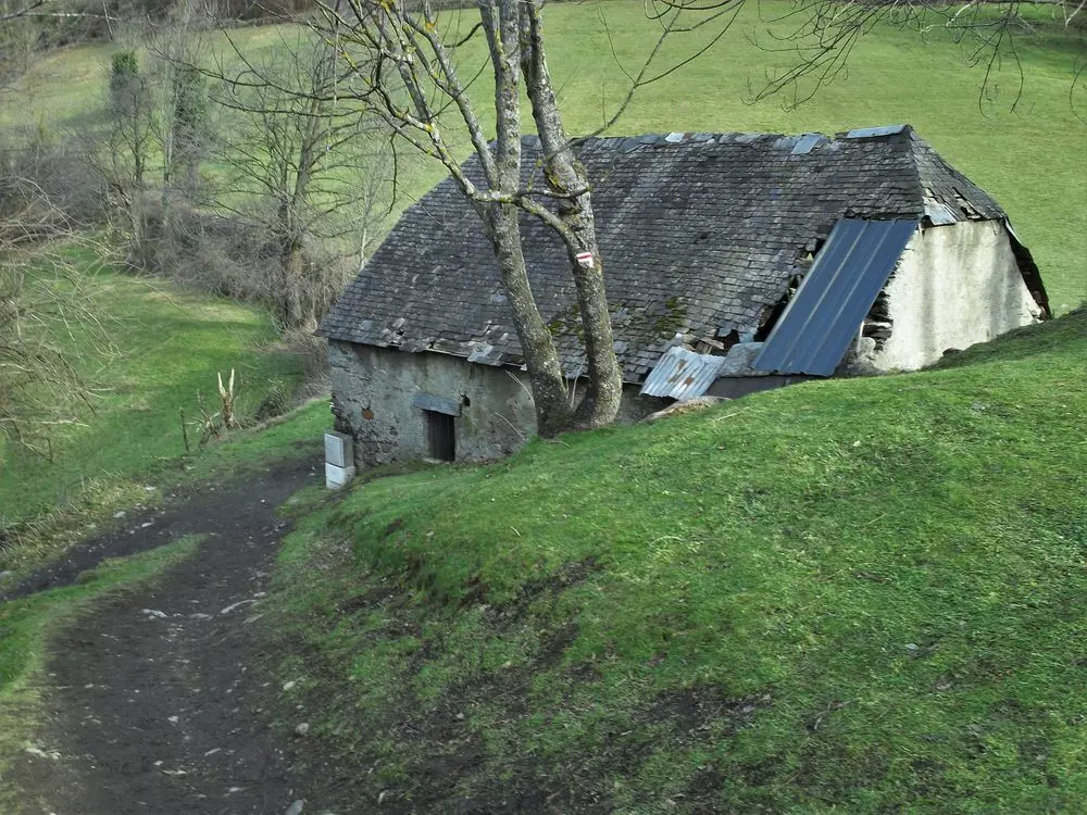 Slide image