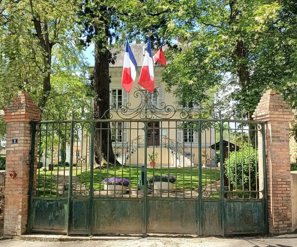 Slide image