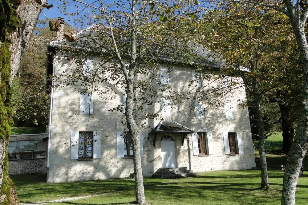 Slide image