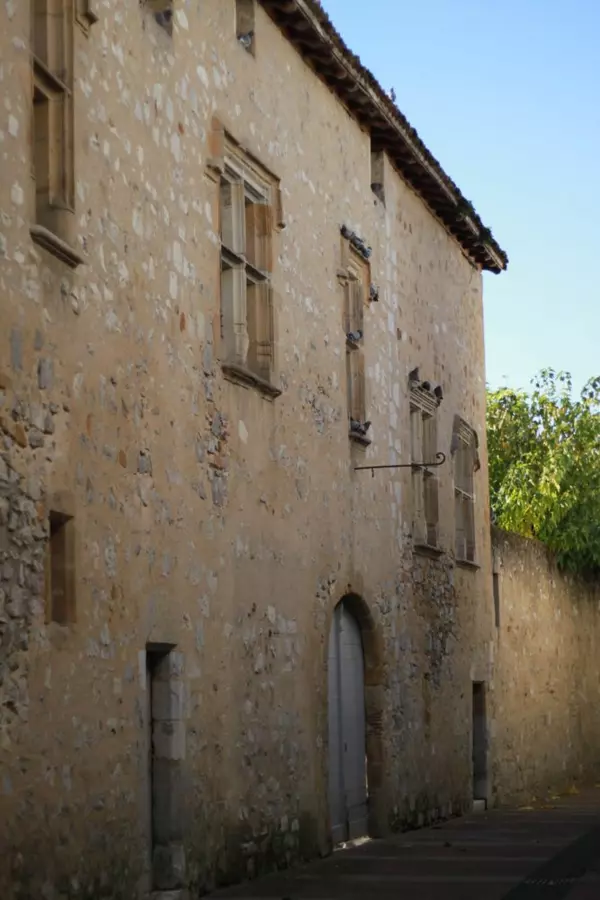 Slide image