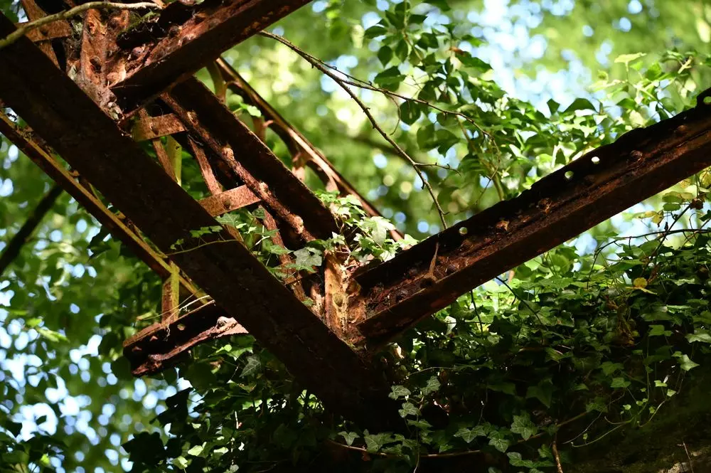 Slide image