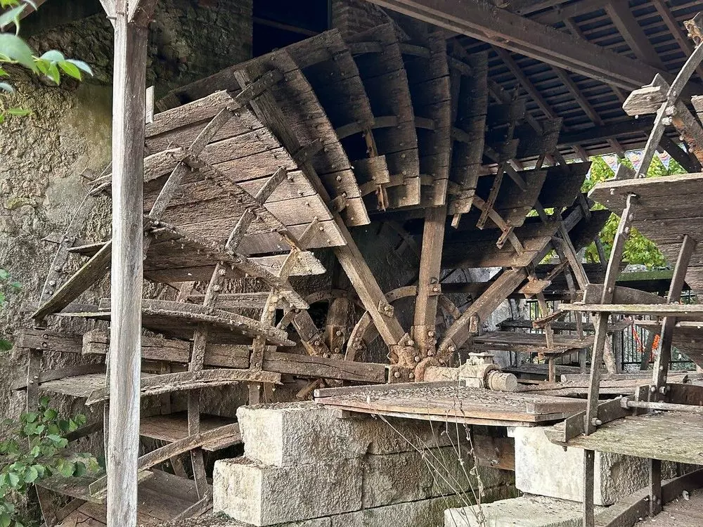 Slide image