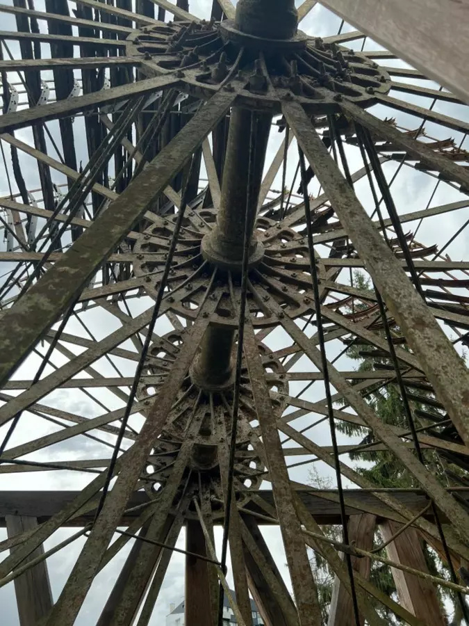 Slide image