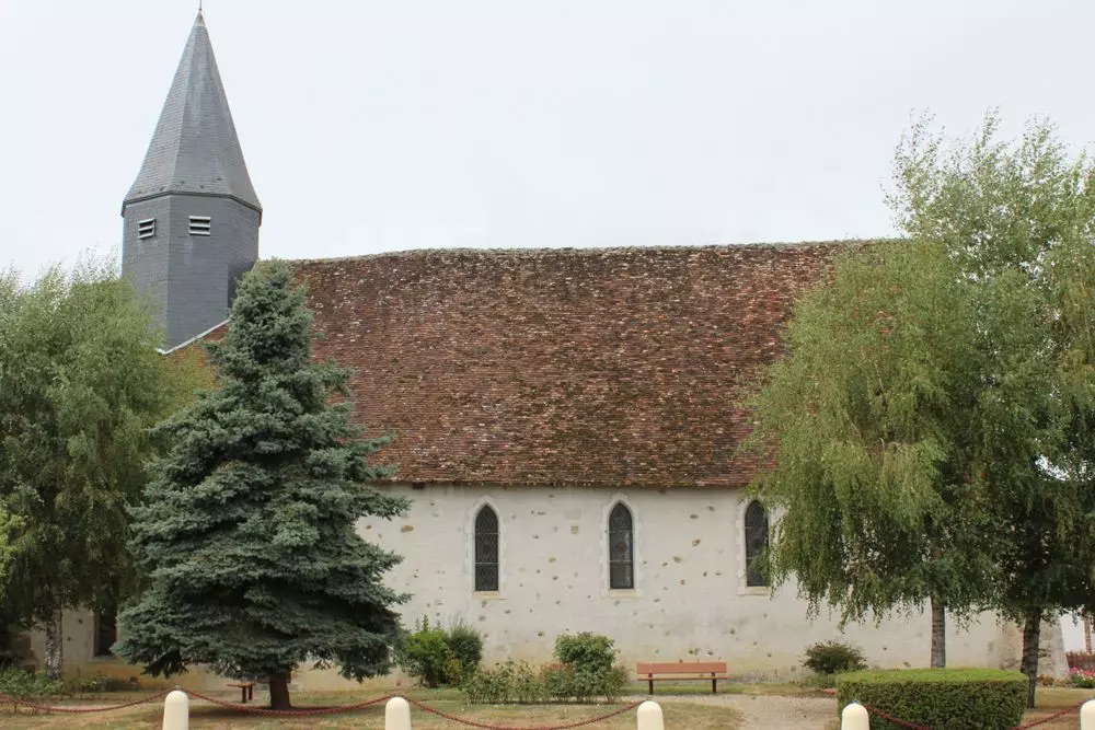 Slide image