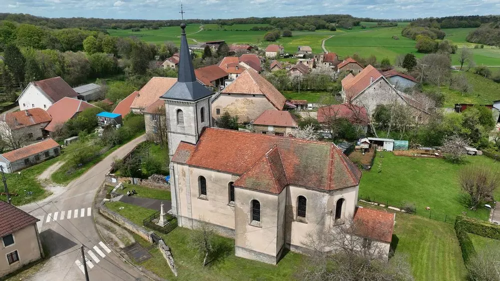 Slide image