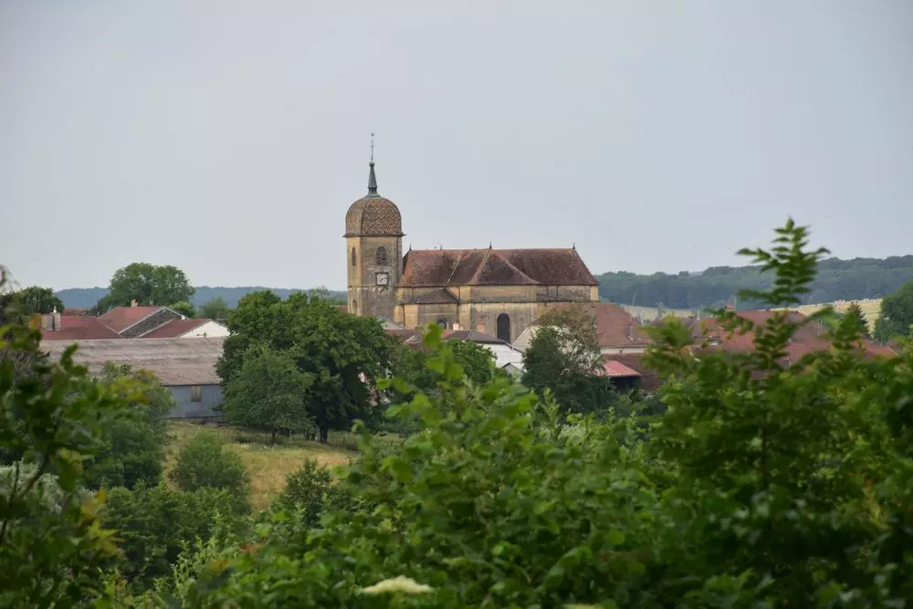 Slide image
