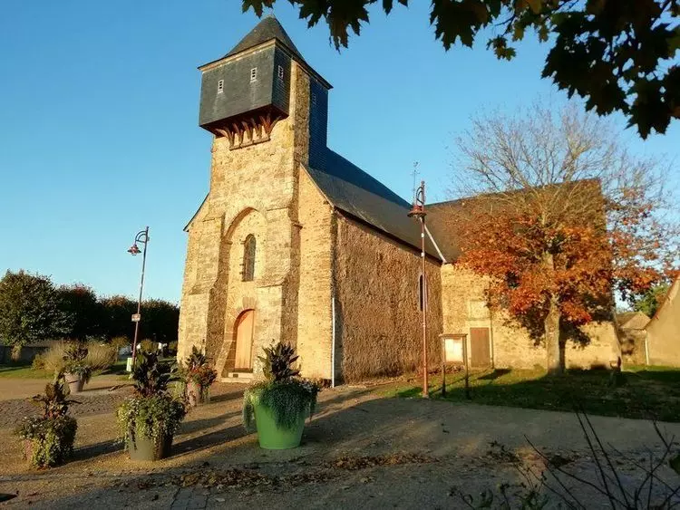 Slide image