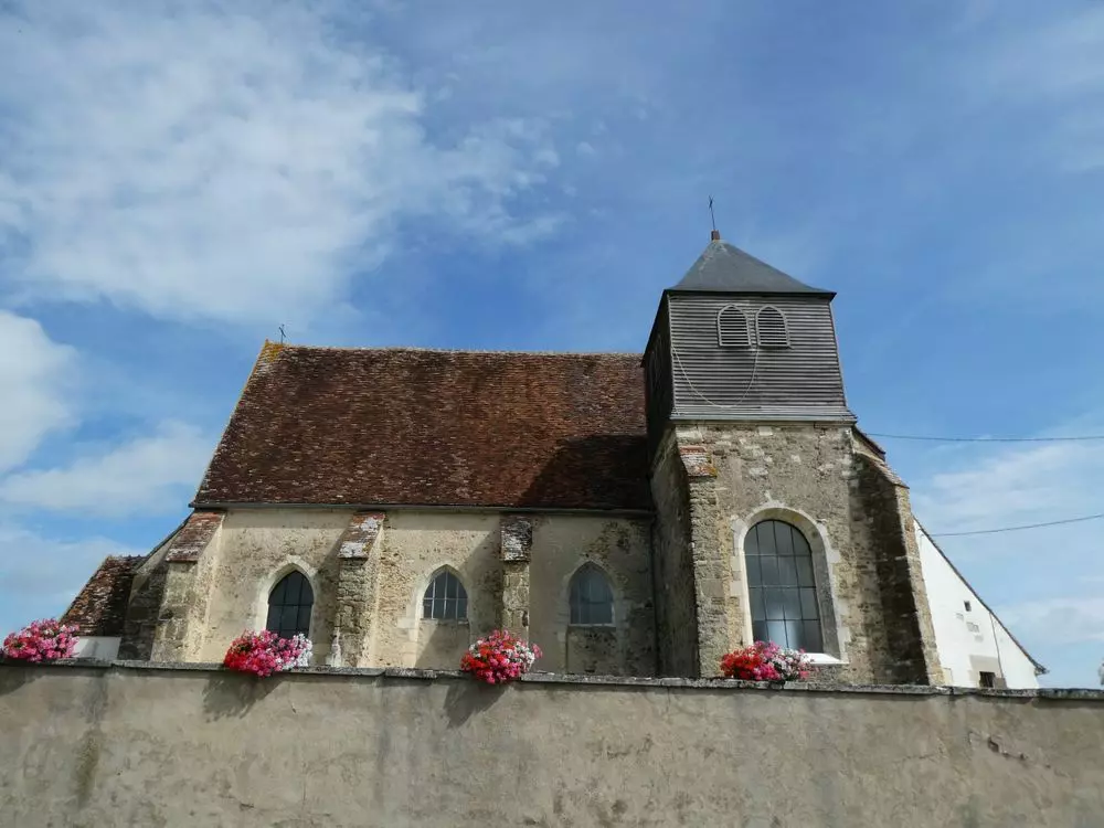 Slide image