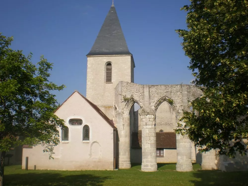 Slide image
