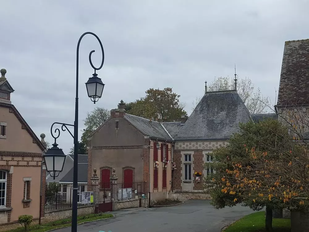 Slide image