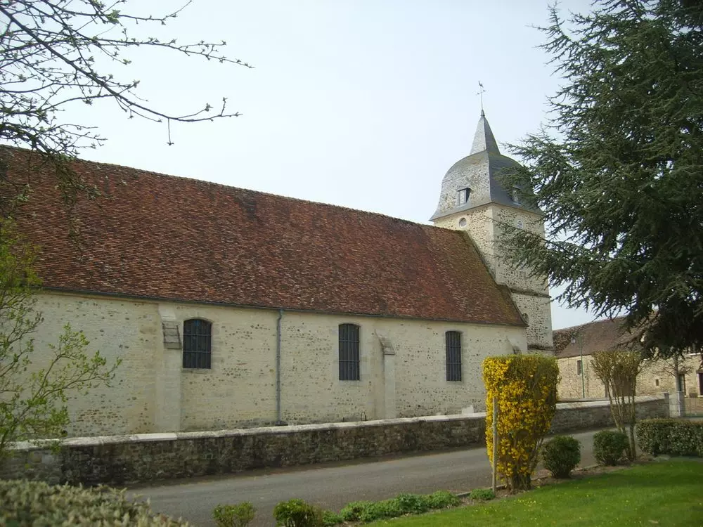 Slide image