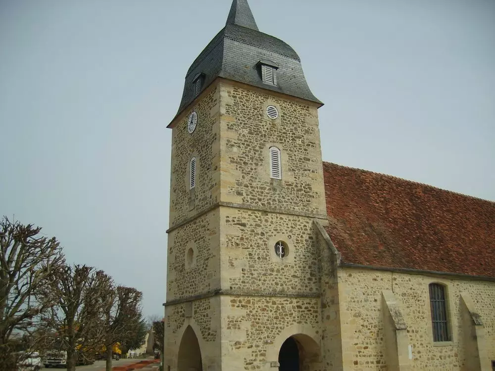 Slide image