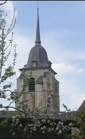 Slide image