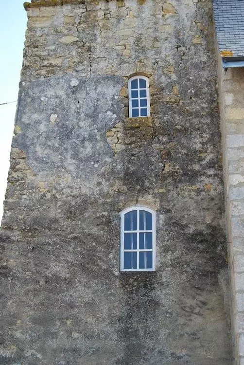 Slide image
