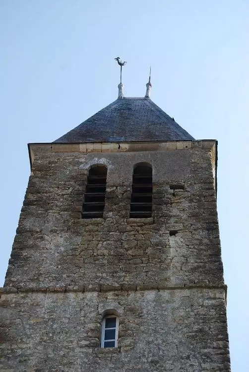 Slide image