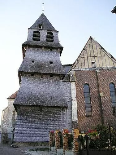 Slide image