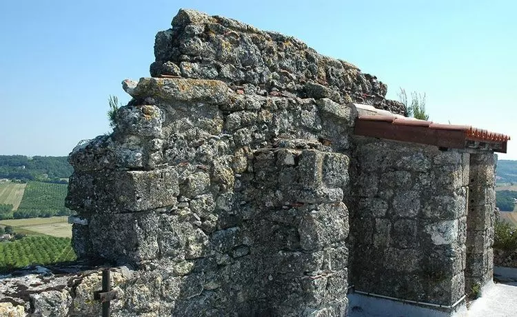 Slide image