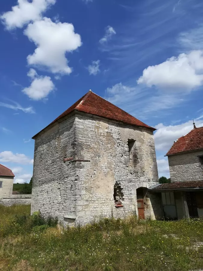 Slide image