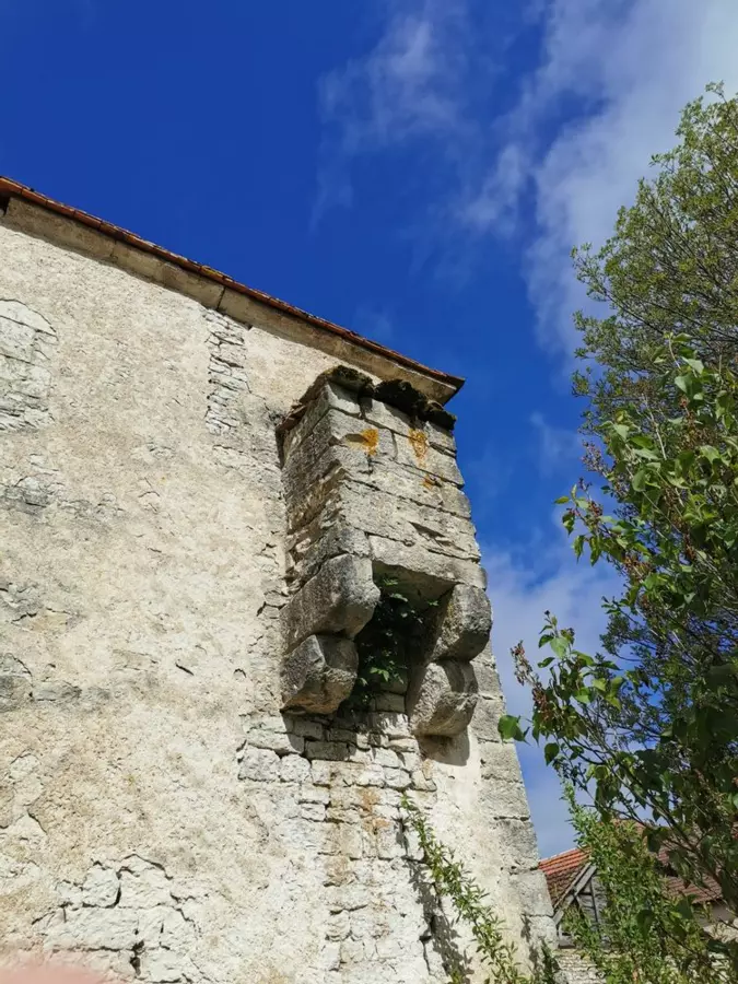 Slide image