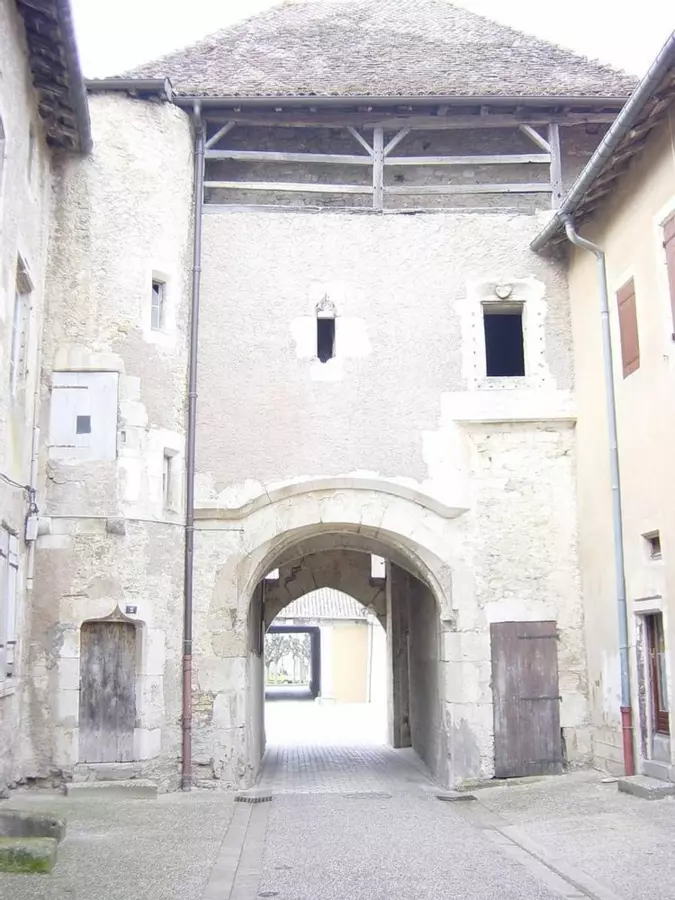 Slide image