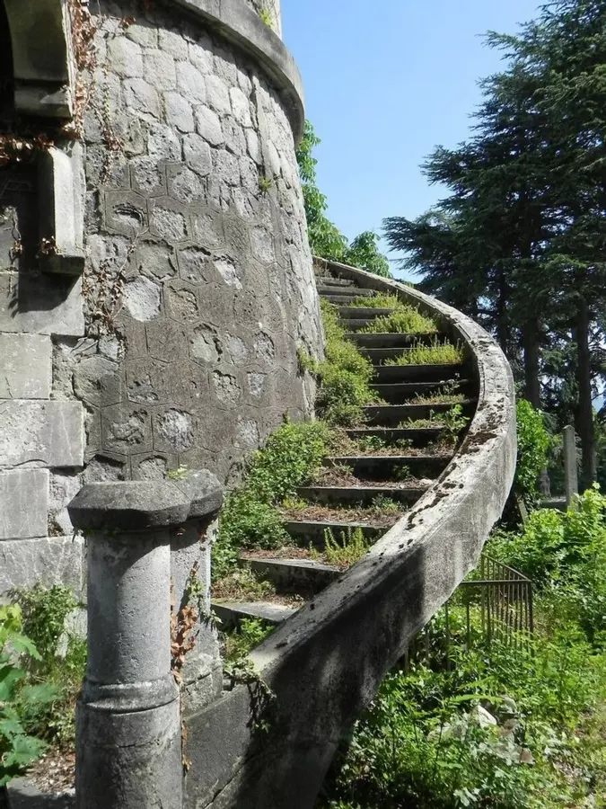 Slide image