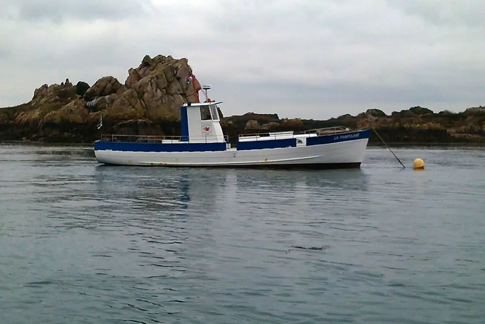 Slide image