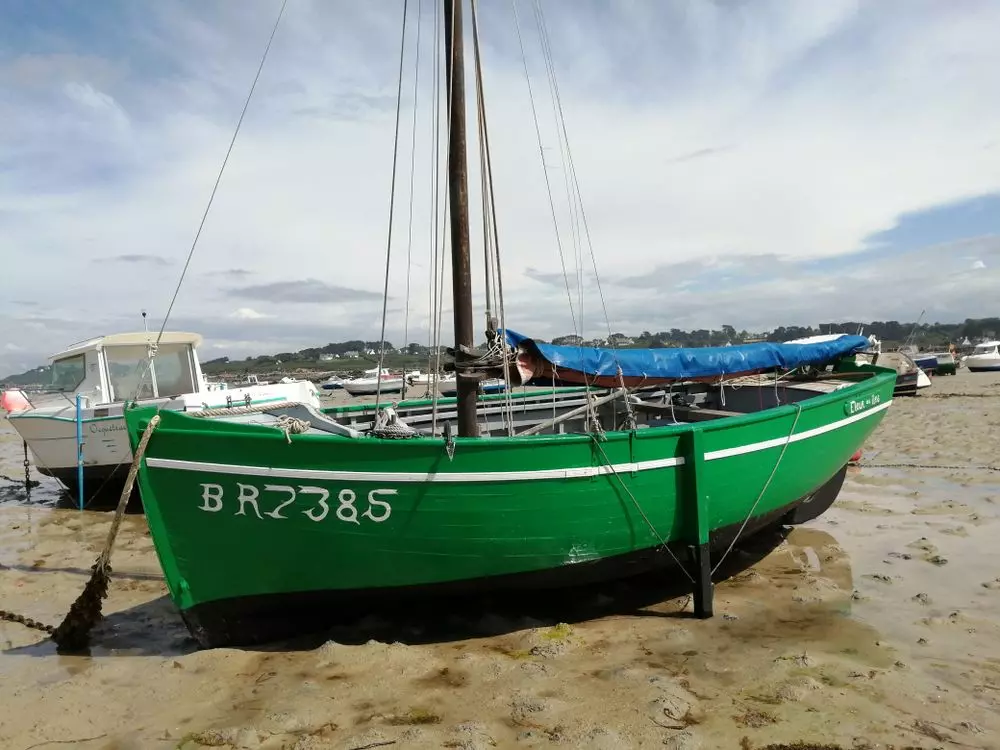 Slide image