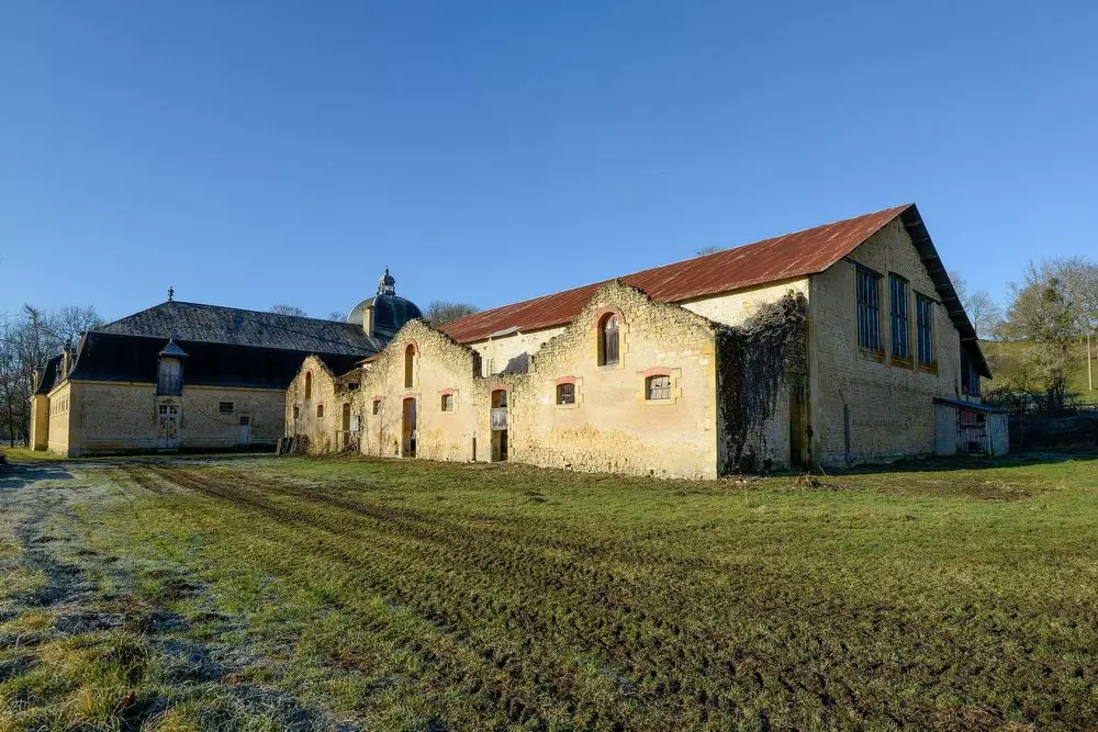 Slide image