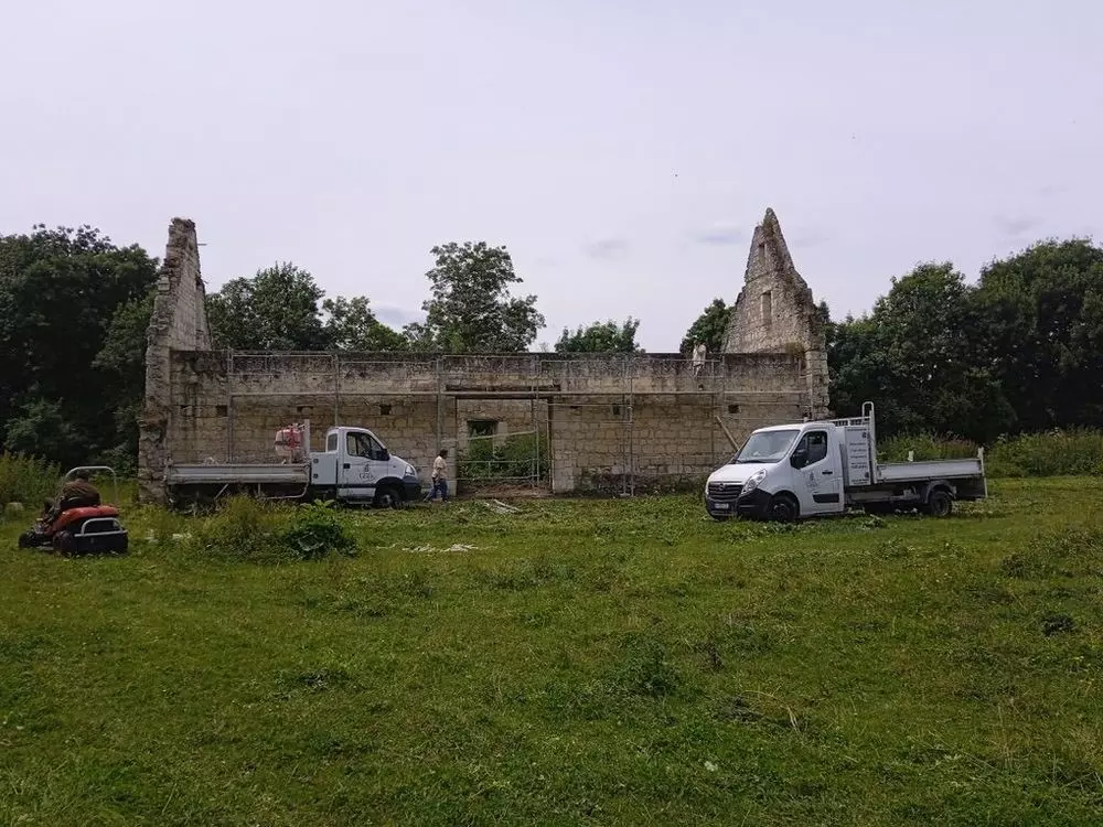 Slide image