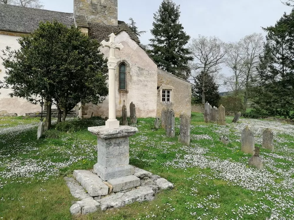 Slide image