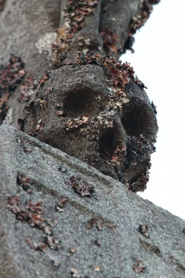 Slide image