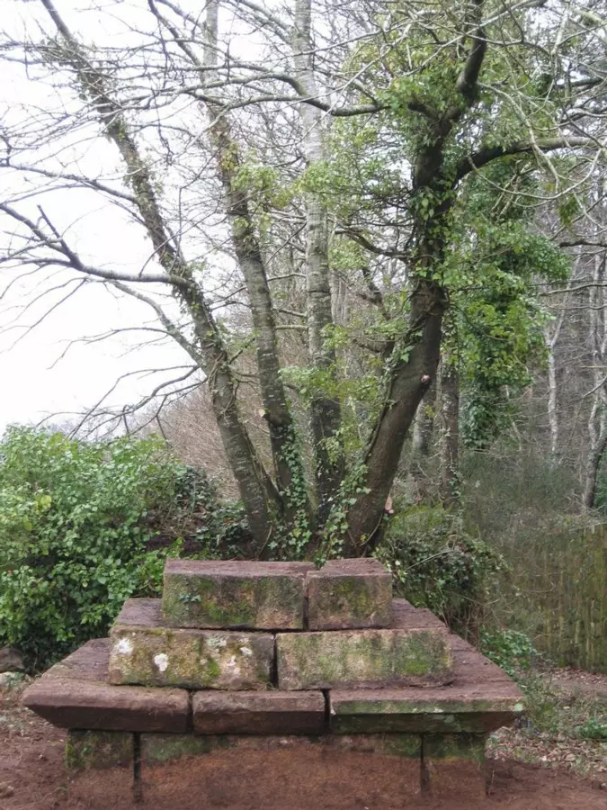 Slide image