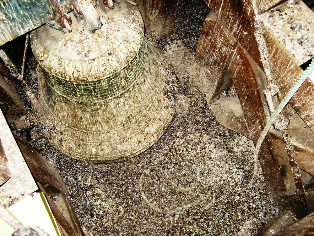 Slide image