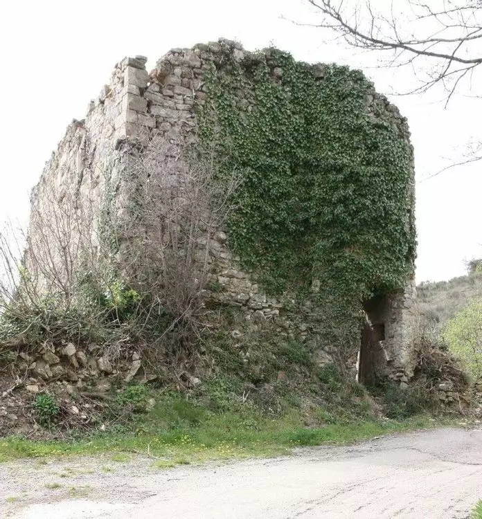 Slide image
