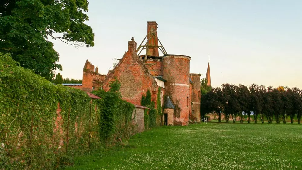 Slide image