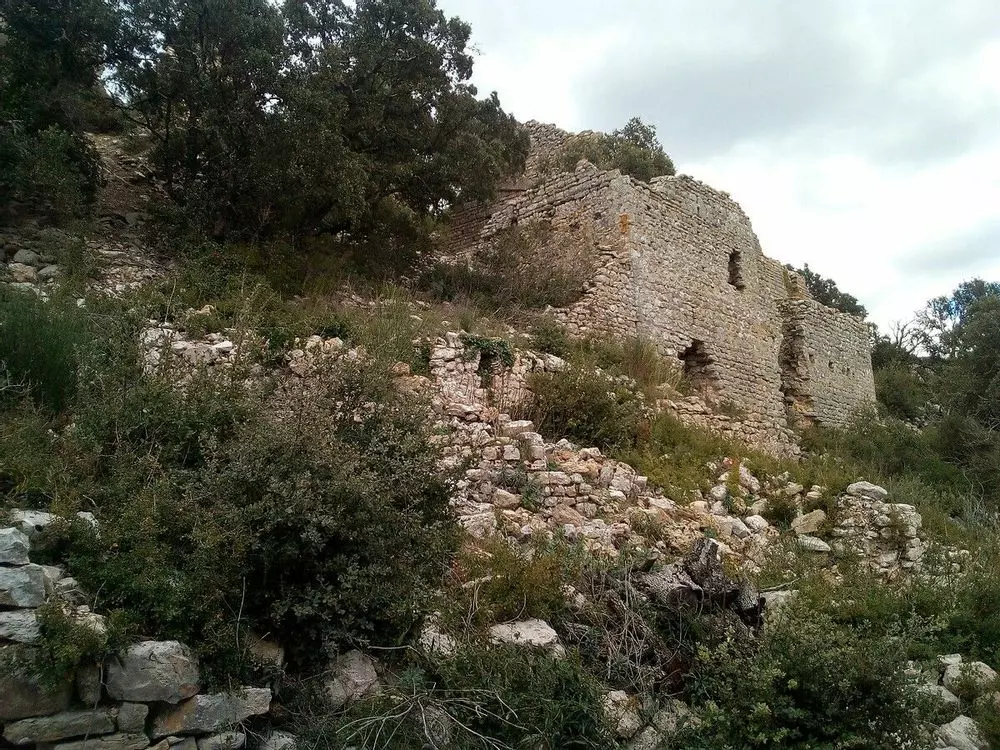 Slide image