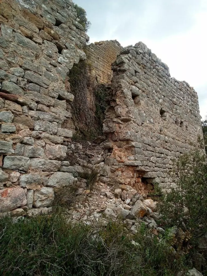 Slide image