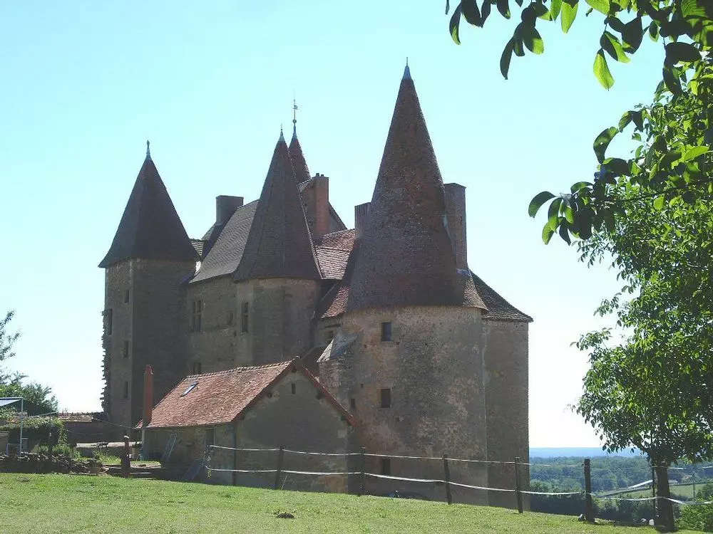 Slide image