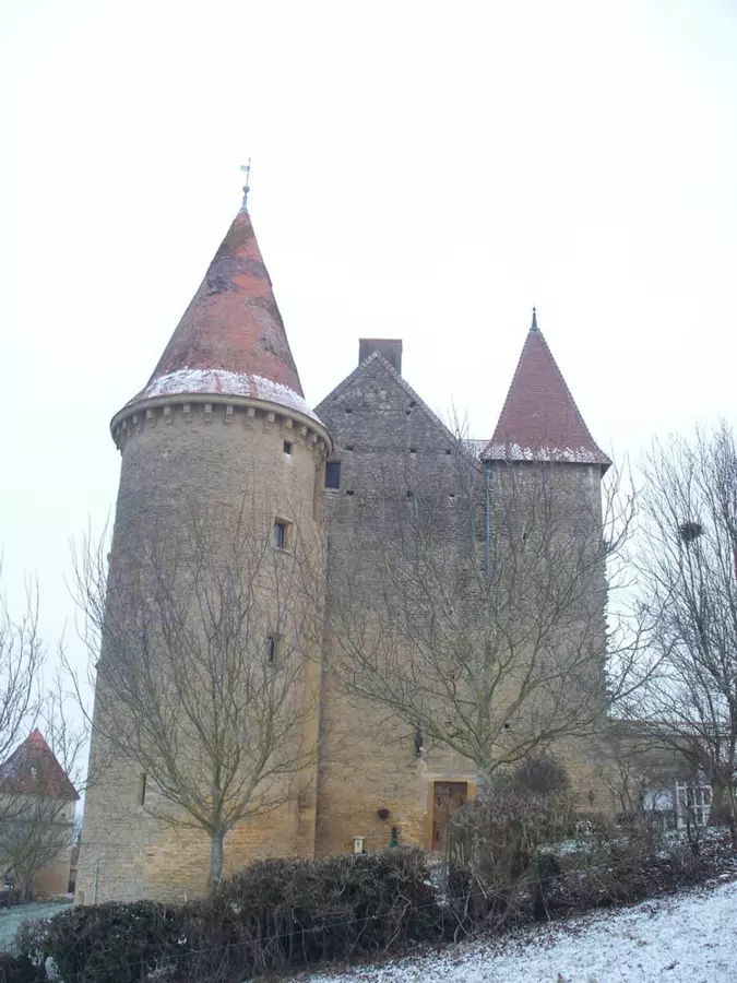 Slide image