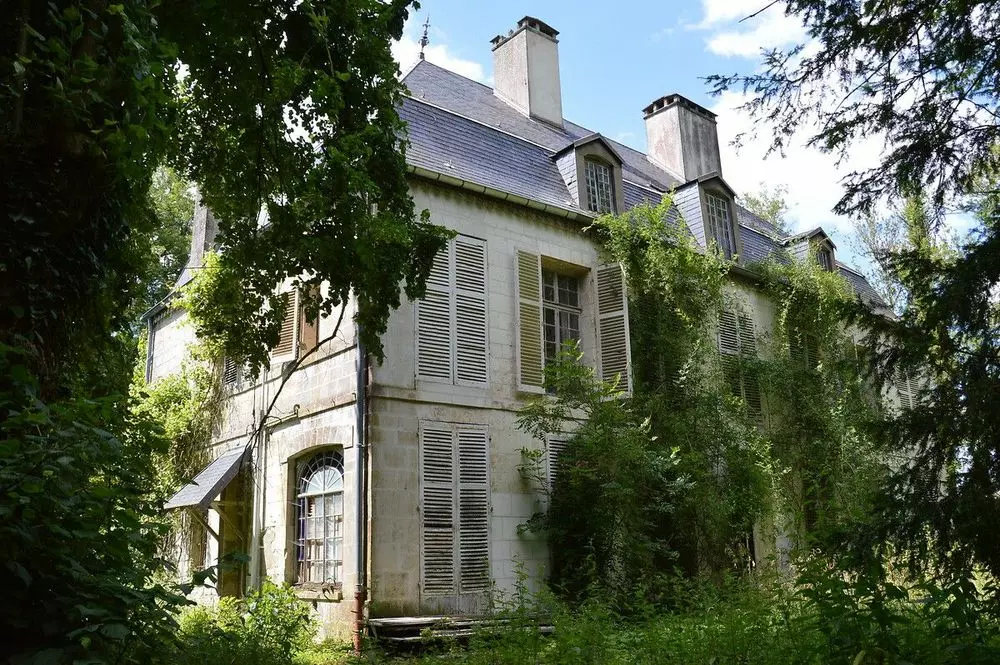 Slide image