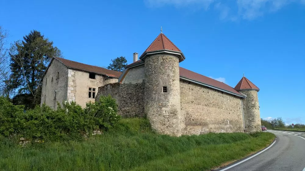 Slide image