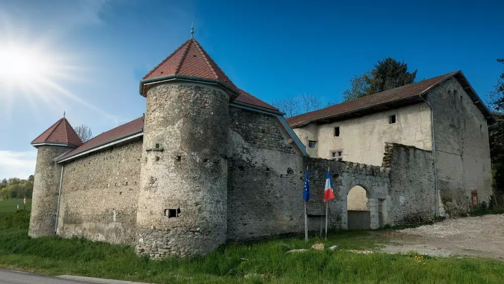 Slide image