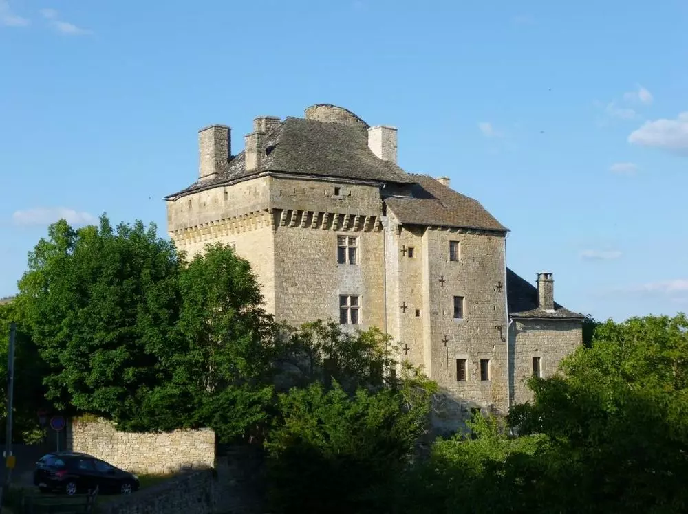 Slide image