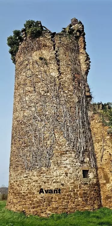 Slide image